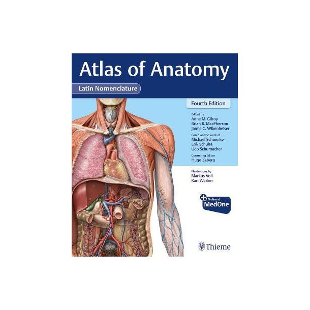 Atlas of Anatomy, Latin Nomenclature. 4th edt.
