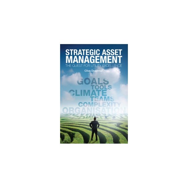 Strategic Asset Management. The Quest for Utility Excellence