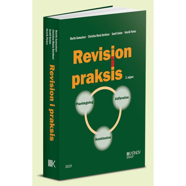 Revision i praksis - Planlgning, Udfrelse, Konklusion. 2 udg.