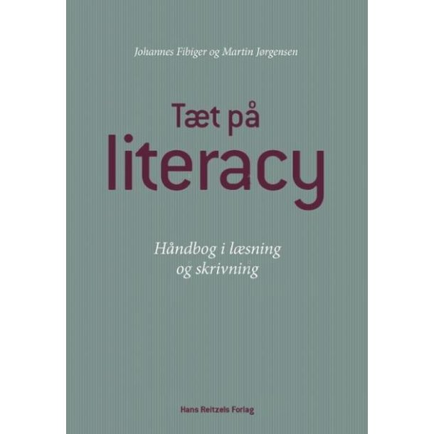 Essay paa dansk 02 picture